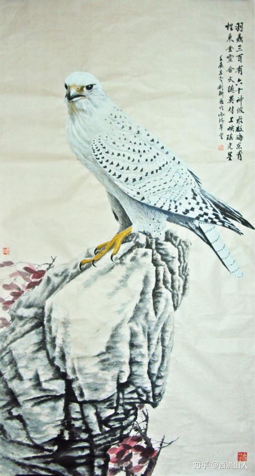 海冬青是什么(海冬青是什么人)-第5张图片-多多自然网 海冬青是什么(海冬青是什么人)-第5张图片-多多自然网