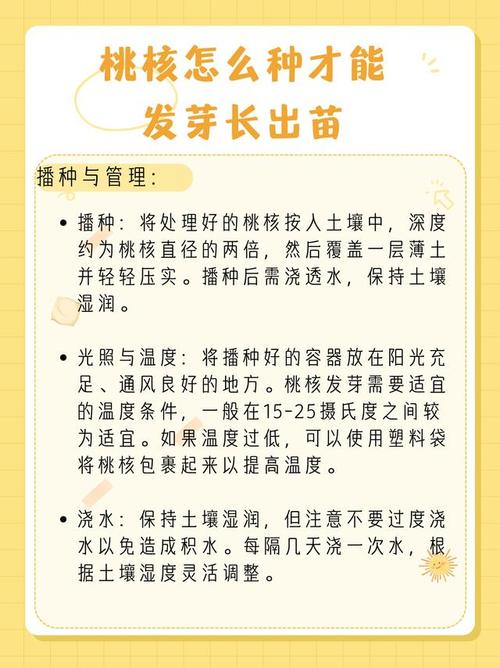 桃核怎么种才能发芽(桃核怎么种才能发芽长出苗)-第2张图片-多多自然网 桃核怎么种才能发芽(桃核怎么种才能发芽长出苗)-第2张图片-多多自然网