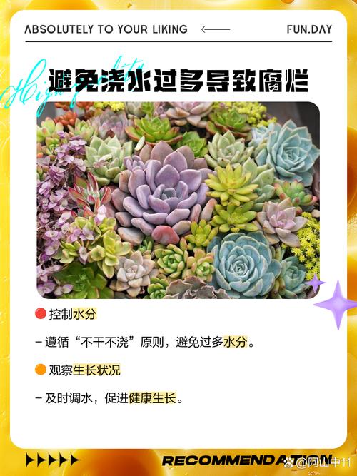 天锦章属怎么养(天锦纯k)-第2张图片-多多自然网 天锦章属怎么养(天锦纯k)-第2张图片-多多自然网