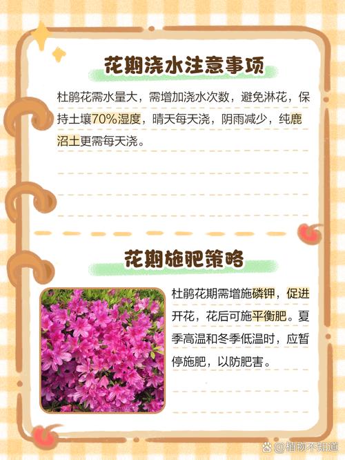 杜鹃花怎么施肥(杜鹃花怎么施肥施什么肥)-第4张图片-多多自然网 杜鹃花怎么施肥(杜鹃花怎么施肥施什么肥)-第4张图片-多多自然网