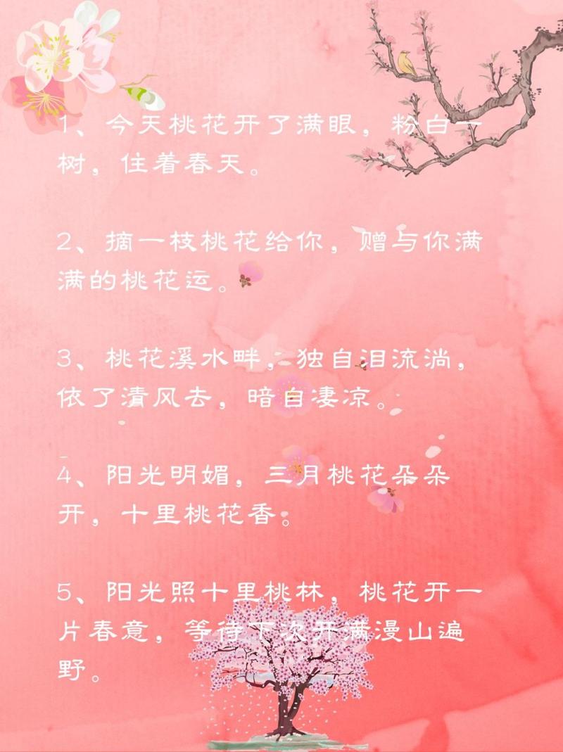 给花撑把太阳伞(给花撑把太阳伞图片)-第3张图片-多多自然网 给花撑把太阳伞(给花撑把太阳伞图片)-第3张图片-多多自然网