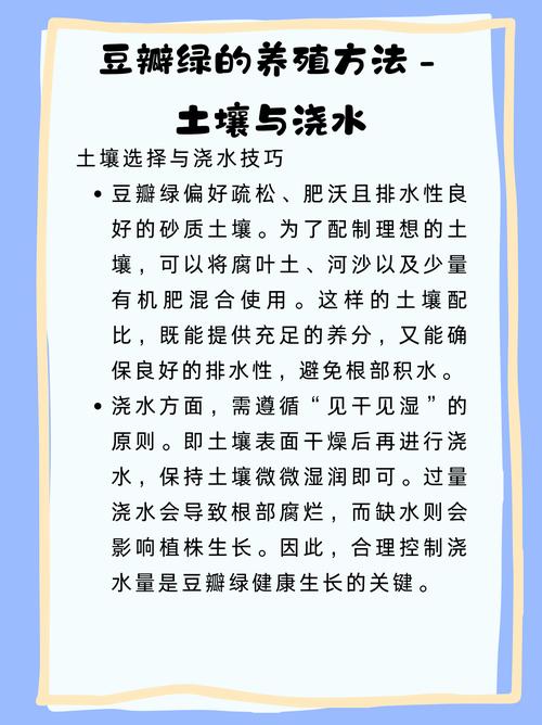 豆瓣绿怎么换盆(豆瓣绿换盆需要剪根吗)-第1张图片-多多自然网 豆瓣绿怎么换盆(豆瓣绿换盆需要剪根吗)-第1张图片-多多自然网