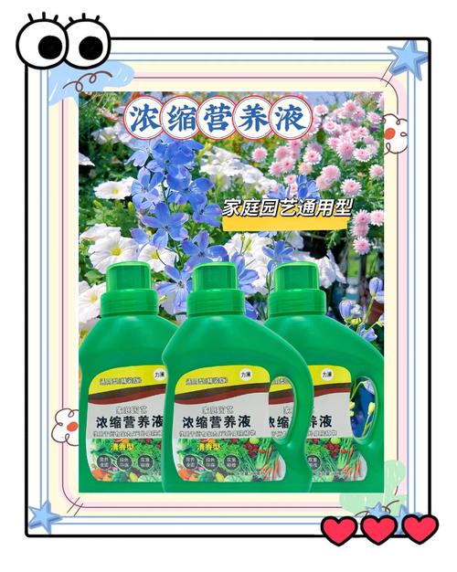 给花浇点废水(给花浇点废水什么意思)-第5张图片-多多自然网 给花浇点废水(给花浇点废水什么意思)-第5张图片-多多自然网