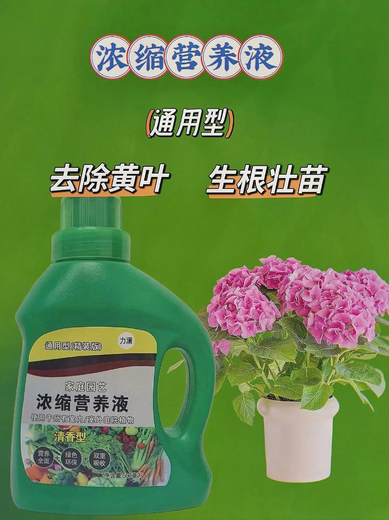 给花浇点废水(给花浇点废水什么意思)-第6张图片-多多自然网 给花浇点废水(给花浇点废水什么意思)-第6张图片-多多自然网