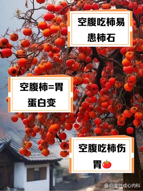 柿子发涩麻嘴巴(柿子涩嘴怎么回事)-第1张图片-多多自然网 柿子发涩麻嘴巴(柿子涩嘴怎么回事)-第1张图片-多多自然网