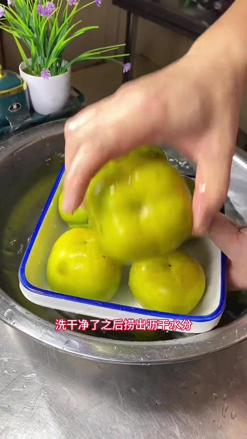 柿子发涩麻嘴巴(柿子涩嘴怎么回事)-第6张图片-多多自然网 柿子发涩麻嘴巴(柿子涩嘴怎么回事)-第6张图片-多多自然网