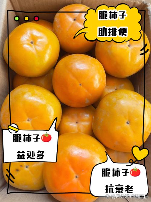 柿子发涩麻嘴巴(柿子涩嘴怎么回事)-第8张图片-多多自然网 柿子发涩麻嘴巴(柿子涩嘴怎么回事)-第8张图片-多多自然网