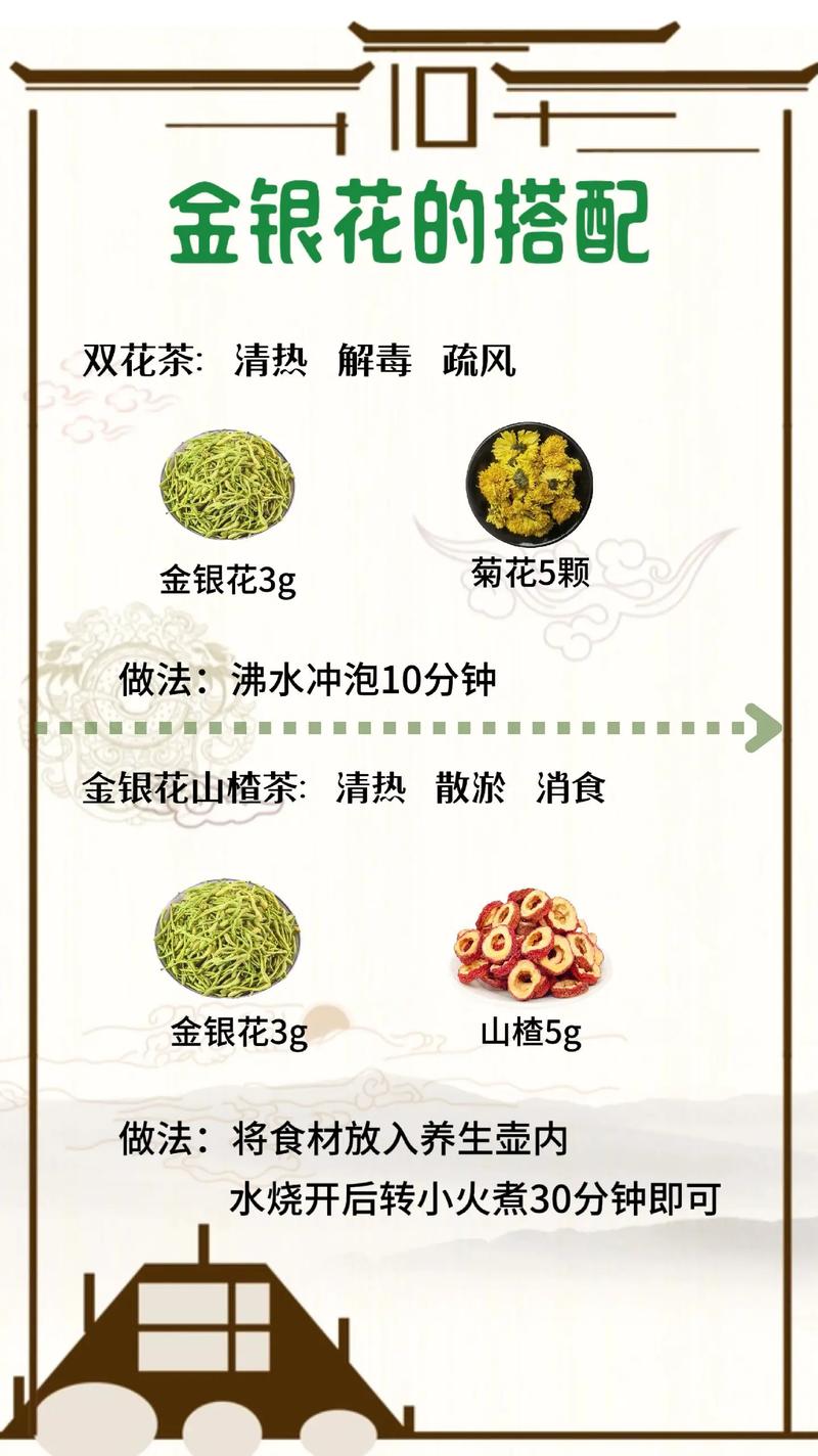 金银花怎么养（金银花怎么养家庭养法）-第7张图片-多多自然网