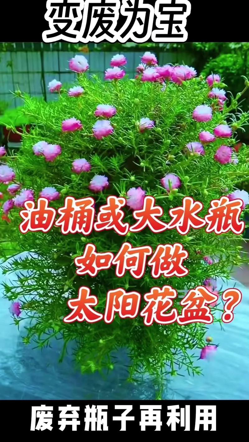 路边捡来的“垃圾”也能做肥料养花(垃圾处理后的肥料能用于哪些方面)-第4张图片-多多自然网 路边捡来的“垃圾”也能做肥料养花(垃圾处理后的肥料能用于哪些方面)-第4张图片-多多自然网