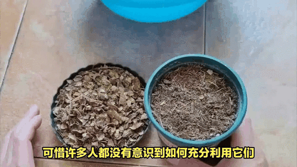 路边捡来的“垃圾”也能做肥料养花(垃圾处理后的肥料能用于哪些方面)-第5张图片-多多自然网 路边捡来的“垃圾”也能做肥料养花(垃圾处理后的肥料能用于哪些方面)-第5张图片-多多自然网