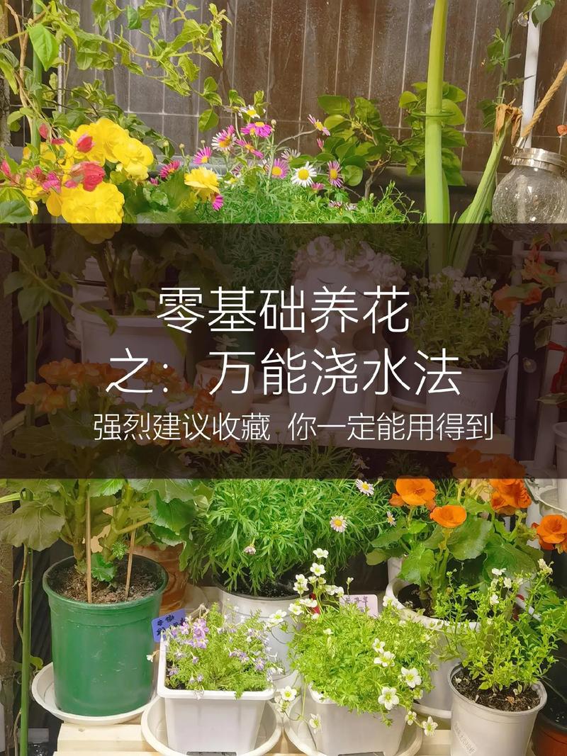 路边捡来的“垃圾”也能做肥料养花(垃圾处理后的肥料能用于哪些方面)-第6张图片-多多自然网 路边捡来的“垃圾”也能做肥料养花(垃圾处理后的肥料能用于哪些方面)-第6张图片-多多自然网