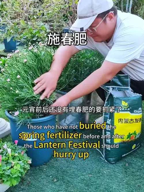 别再买肥料了（去买施肥的东西）-第1张图片-多多自然网