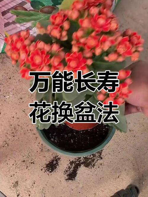 以后“废水”不要倒(废水还能利用吗)-第6张图片-多多自然网 以后“废水”不要倒(废水还能利用吗)-第6张图片-多多自然网