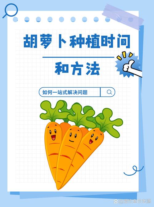 种萝卜的时间(种萝卜的时间和方法)-第2张图片-多多自然网 种萝卜的时间(种萝卜的时间和方法)-第2张图片-多多自然网