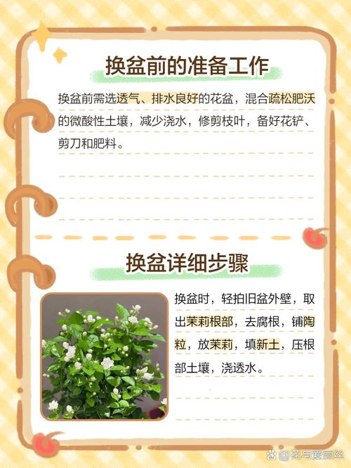 茉莉怎么换盆(茉莉怎么换盆换土)-第5张图片-多多自然网 茉莉怎么换盆(茉莉怎么换盆换土)-第5张图片-多多自然网