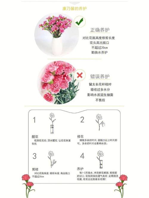 康乃馨的养殖方法和注意事项(康乃馨花怎么养才不会枯萎)-第3张图片-多多自然网 康乃馨的养殖方法和注意事项(康乃馨花怎么养才不会枯萎)-第3张图片-多多自然网
