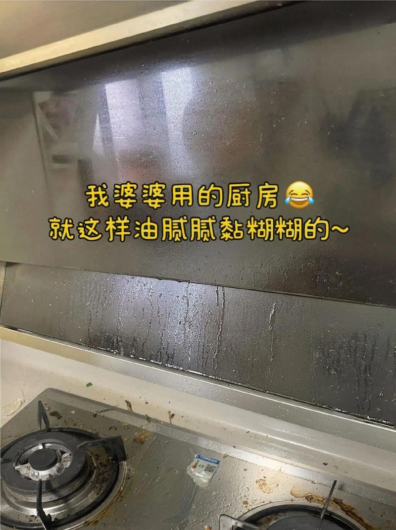 夏天厨房太油腻（厨房油腻腻的最讨厌了,我来教你怎么破!）-第3张图片-多多自然网