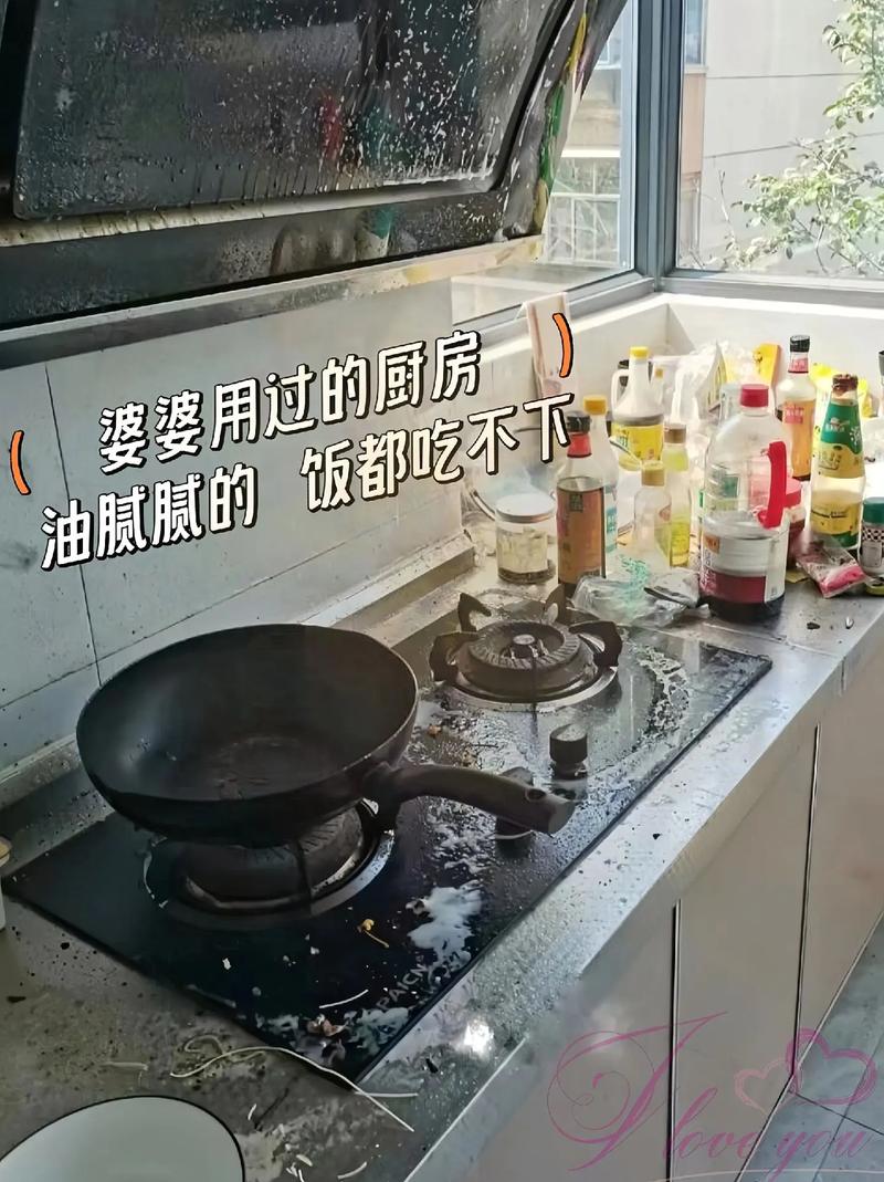 夏天厨房太油腻（厨房油腻腻的最讨厌了,我来教你怎么破!）-第6张图片-多多自然网