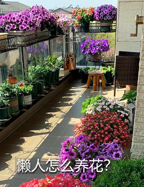 阳台太小咋养花(阳台太小怎么利用空间)-第2张图片-多多自然网 阳台太小咋养花(阳台太小怎么利用空间)-第2张图片-多多自然网