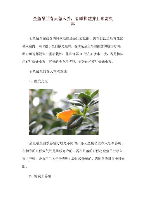 吊兰春天这么养(吊兰春季怎么修剪)-第1张图片-多多自然网 吊兰春天这么养(吊兰春季怎么修剪)-第1张图片-多多自然网