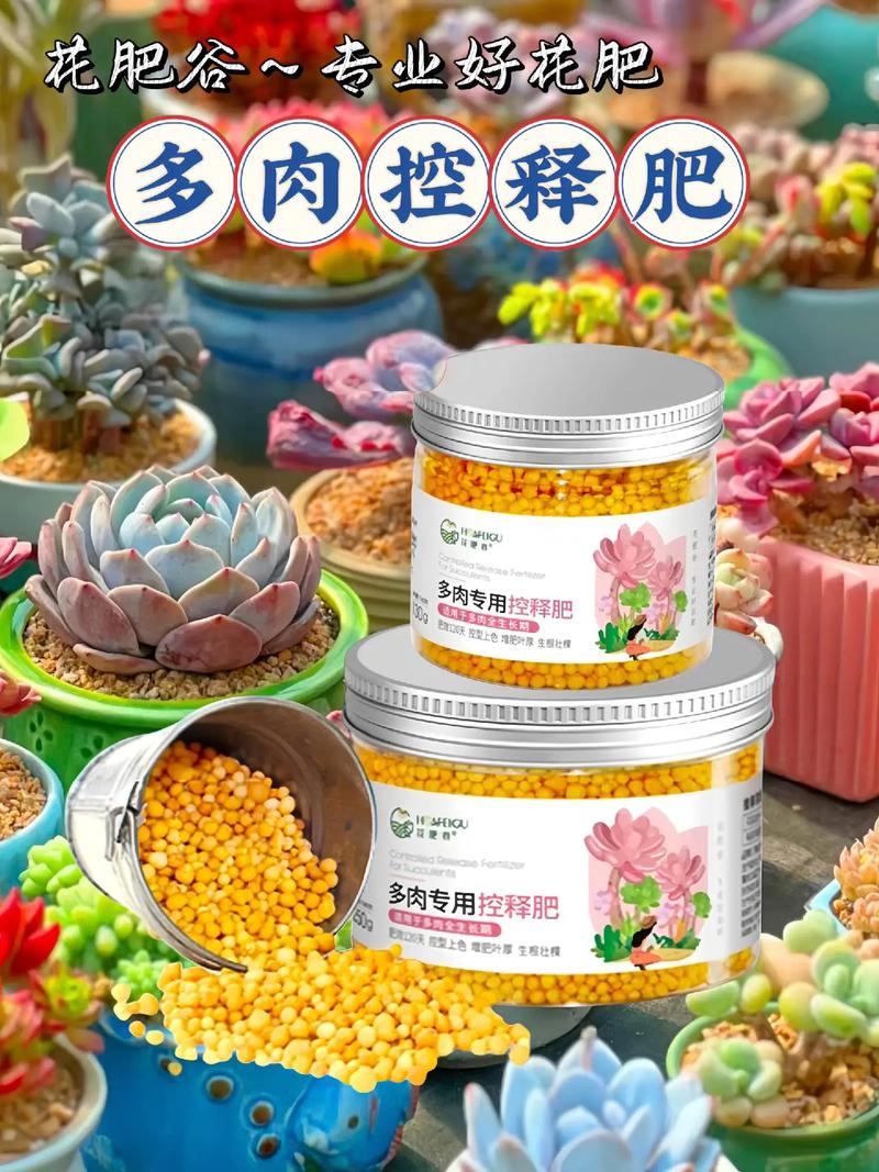 多肉可以用复合肥吗(多肉可以用复合肥吗怎么施肥)-第3张图片-多多自然网 多肉可以用复合肥吗(多肉可以用复合肥吗怎么施肥)-第3张图片-多多自然网