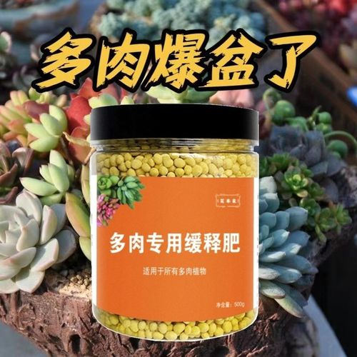 多肉可以用复合肥吗(多肉可以用复合肥吗怎么施肥)-第5张图片-多多自然网 多肉可以用复合肥吗(多肉可以用复合肥吗怎么施肥)-第5张图片-多多自然网