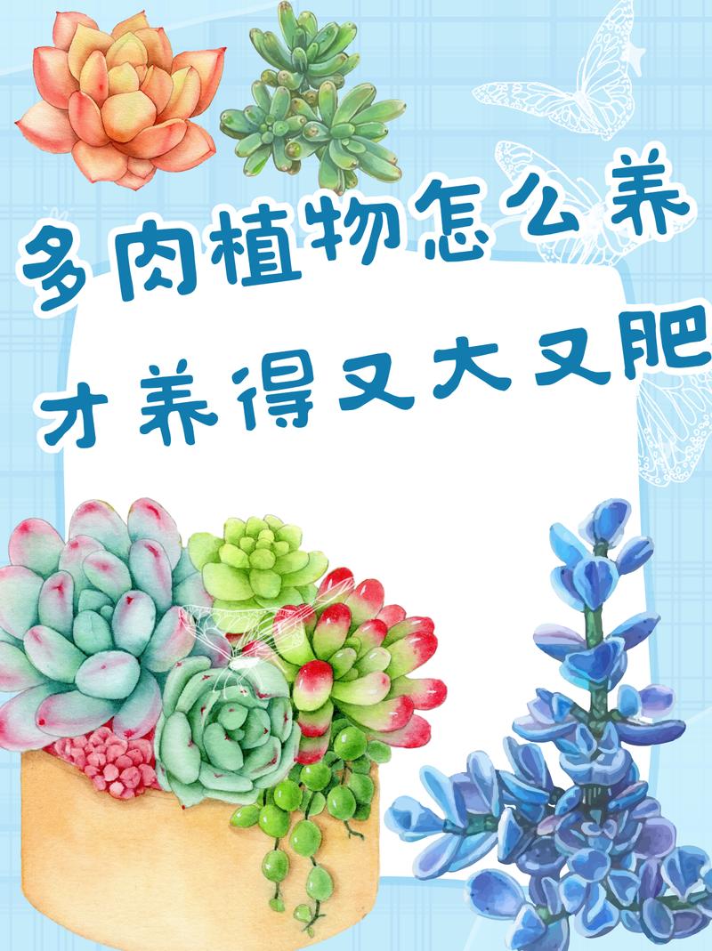 多肉可以用复合肥吗(多肉可以用复合肥吗怎么施肥)-第6张图片-多多自然网 多肉可以用复合肥吗(多肉可以用复合肥吗怎么施肥)-第6张图片-多多自然网