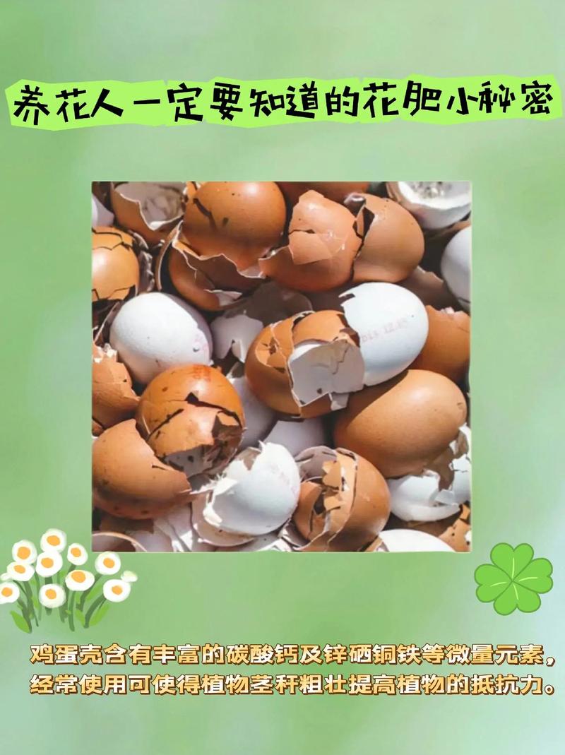 淘米水花肥的制作方法(淘米水肥料制作)-第4张图片-多多自然网 淘米水花肥的制作方法(淘米水肥料制作)-第4张图片-多多自然网