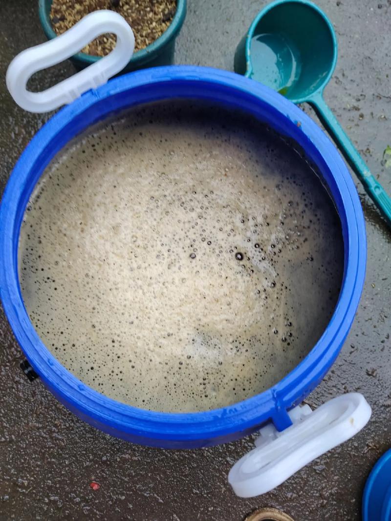 淘米水花肥的制作方法(淘米水肥料制作)-第7张图片-多多自然网 淘米水花肥的制作方法(淘米水肥料制作)-第7张图片-多多自然网