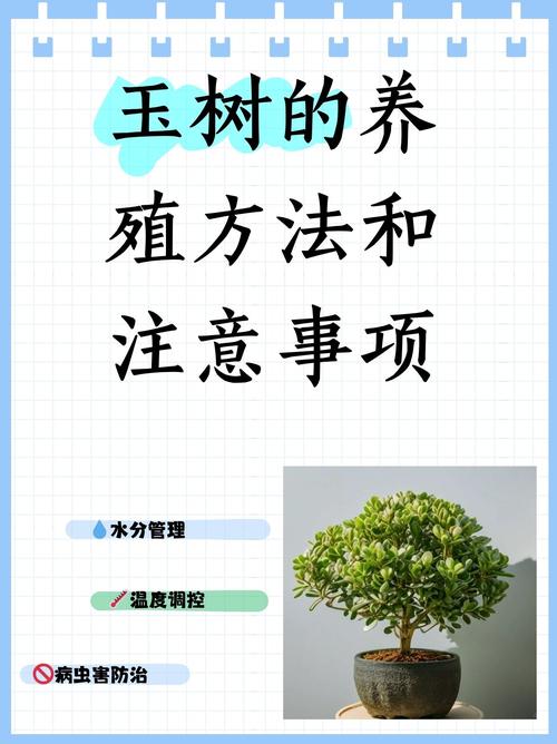 玉兰怎么浇水(玉兰怎么浇水施肥)-第7张图片-多多自然网 玉兰怎么浇水(玉兰怎么浇水施肥)-第7张图片-多多自然网