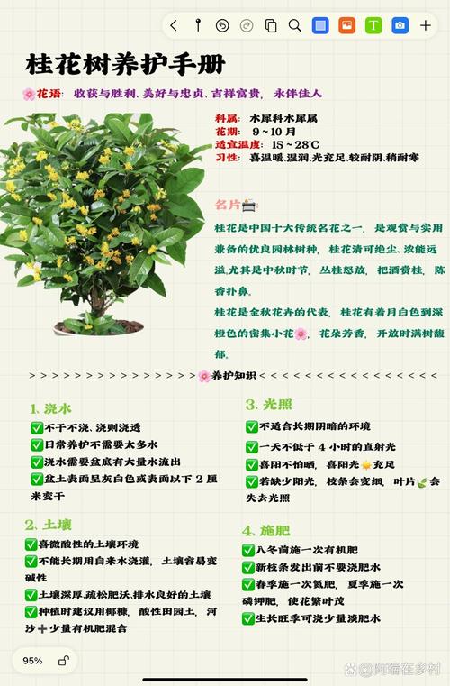 桂花如何修剪开花多(桂花怎么修剪枝叶及修剪时间)-第1张图片-多多自然网 桂花如何修剪开花多(桂花怎么修剪枝叶及修剪时间)-第1张图片-多多自然网