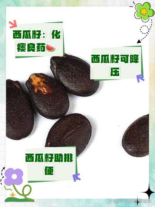 西瓜籽是怎么种出来的(西瓜籽怎么种植视频)-第1张图片-多多自然网 西瓜籽是怎么种出来的(西瓜籽怎么种植视频)-第1张图片-多多自然网
