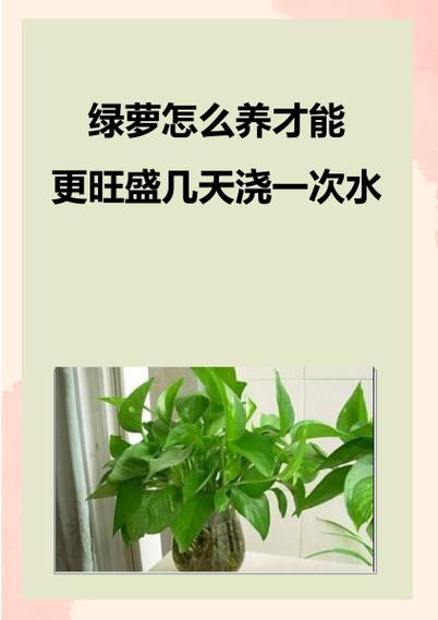 绿萝多久浇一次水(室内绿萝多久浇一次水)-第4张图片-多多自然网 绿萝多久浇一次水(室内绿萝多久浇一次水)-第4张图片-多多自然网
