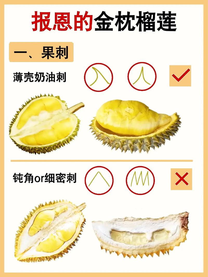 榴莲怎么保存(液态氮榴莲怎么保存)-第5张图片-多多自然网 榴莲怎么保存(液态氮榴莲怎么保存)-第5张图片-多多自然网