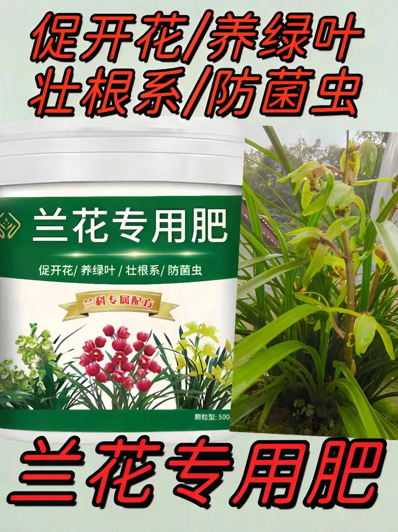 兰花用什么肥料比较好（兰花用什么土栽培比较好）-第1张图片-多多自然网