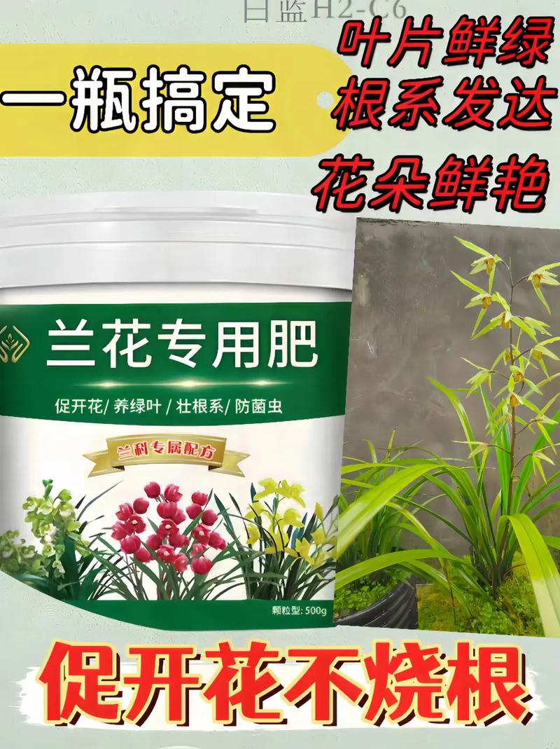 兰花用什么肥料比较好（兰花用什么土栽培比较好）-第5张图片-多多自然网