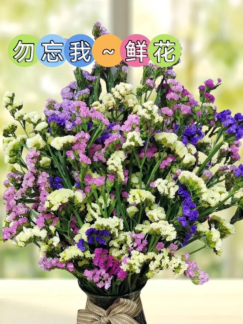 勿忘我切花怎么养(勿忘我切花怎么养?)-第1张图片-多多自然网 勿忘我切花怎么养(勿忘我切花怎么养?)-第1张图片-多多自然网