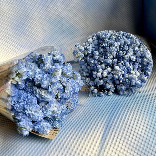 勿忘我切花怎么养(勿忘我切花怎么养?)-第5张图片-多多自然网 勿忘我切花怎么养(勿忘我切花怎么养?)-第5张图片-多多自然网