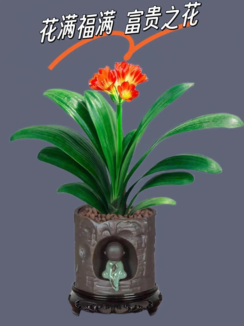 花盆太深真要命(花盆太深怎么浇水)-第2张图片-多多自然网 花盆太深真要命(花盆太深怎么浇水)-第2张图片-多多自然网