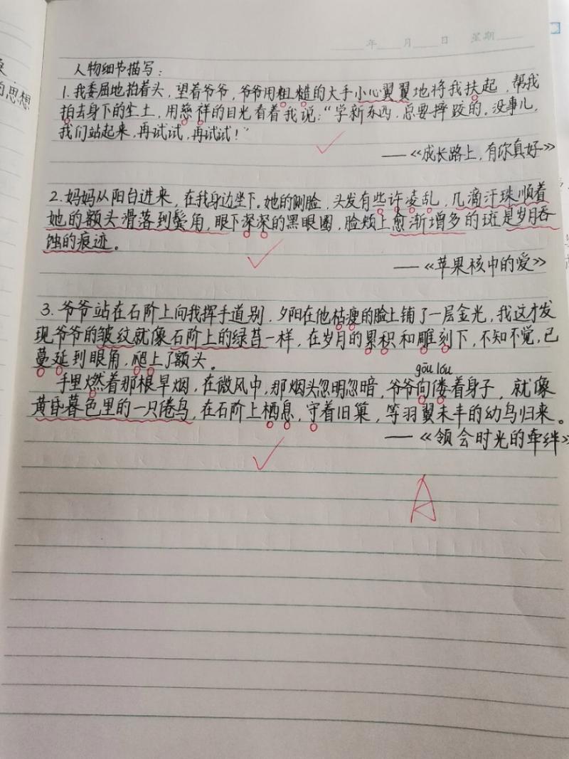 花盆太深真要命(花盆太深怎么浇水)-第7张图片-多多自然网 花盆太深真要命(花盆太深怎么浇水)-第7张图片-多多自然网
