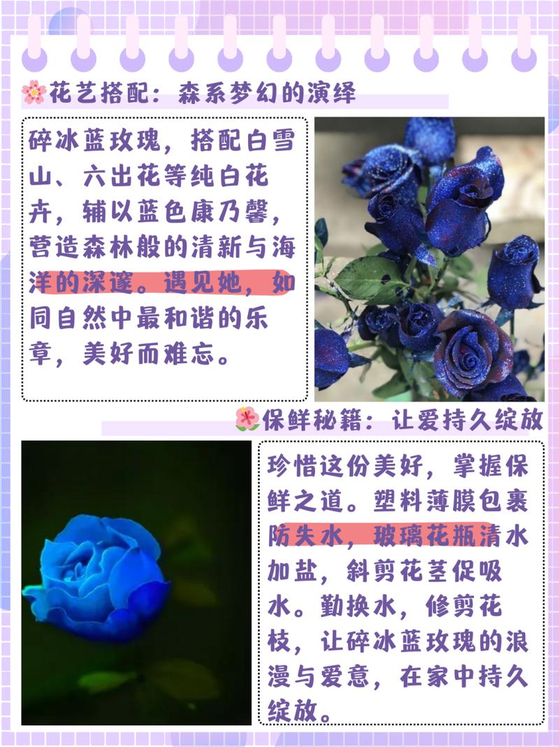 蓝色的花有哪些(中国蓝色的花有哪些)-第2张图片-多多自然网 蓝色的花有哪些(中国蓝色的花有哪些)-第2张图片-多多自然网