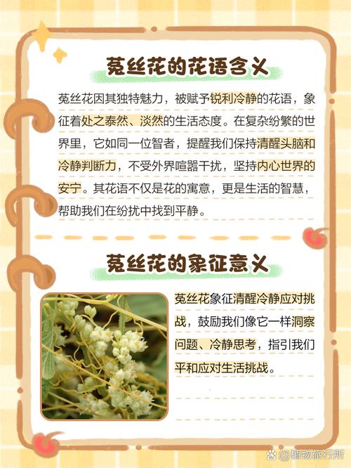 夏雪草怎么养(夏雪草图片)-第6张图片-多多自然网 夏雪草怎么养(夏雪草图片)-第6张图片-多多自然网