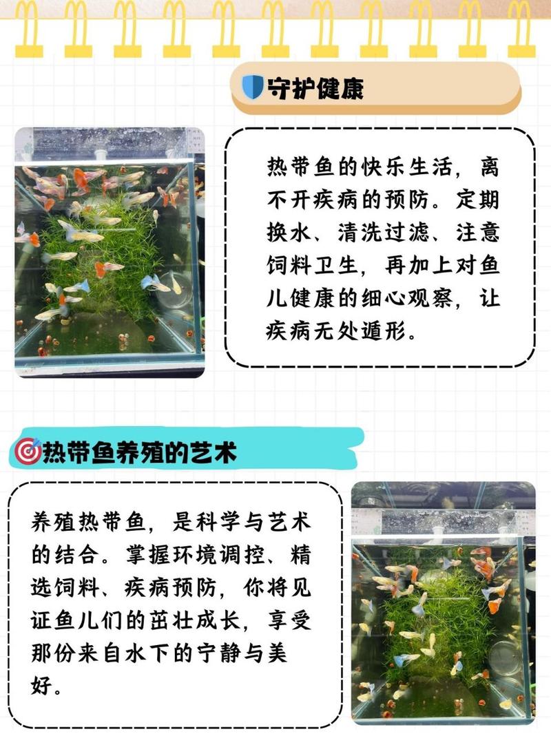 40℃高温的夏天(夏季高温的文章)-第5张图片-多多自然网 40℃高温的夏天(夏季高温的文章)-第5张图片-多多自然网