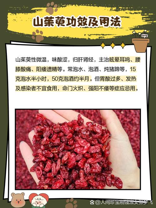 山茱萸种子怎么种(山茱萸种子种在家门口的那个地方吉利)-第6张图片-多多自然网 山茱萸种子怎么种(山茱萸种子种在家门口的那个地方吉利)-第6张图片-多多自然网
