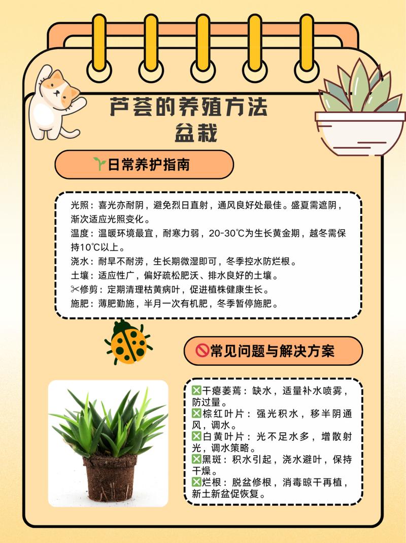怎么养芦荟长得快（怎么养芦荟长得快些）-第5张图片-多多自然网