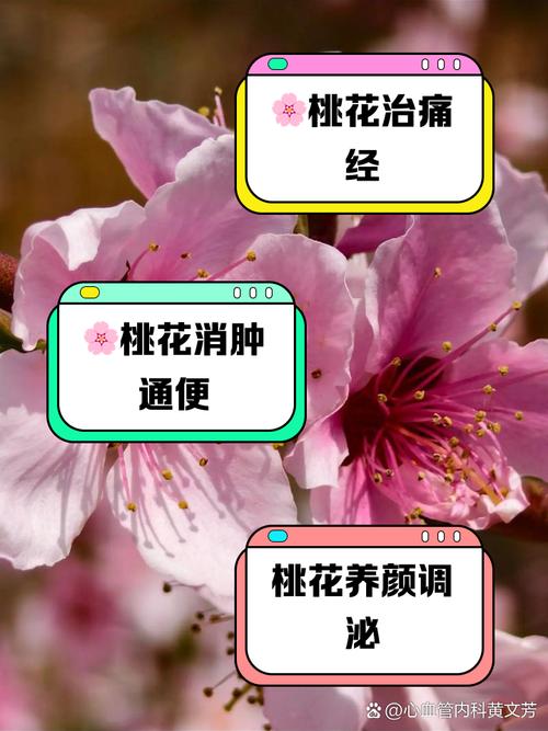 桃花怎么施肥(桃花需要施肥吗)-第1张图片-多多自然网 桃花怎么施肥(桃花需要施肥吗)-第1张图片-多多自然网