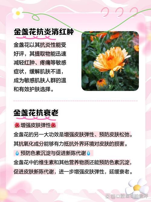 给花吃点美容药(给花吃点美容药可以吗)-第2张图片-多多自然网 给花吃点美容药(给花吃点美容药可以吗)-第2张图片-多多自然网