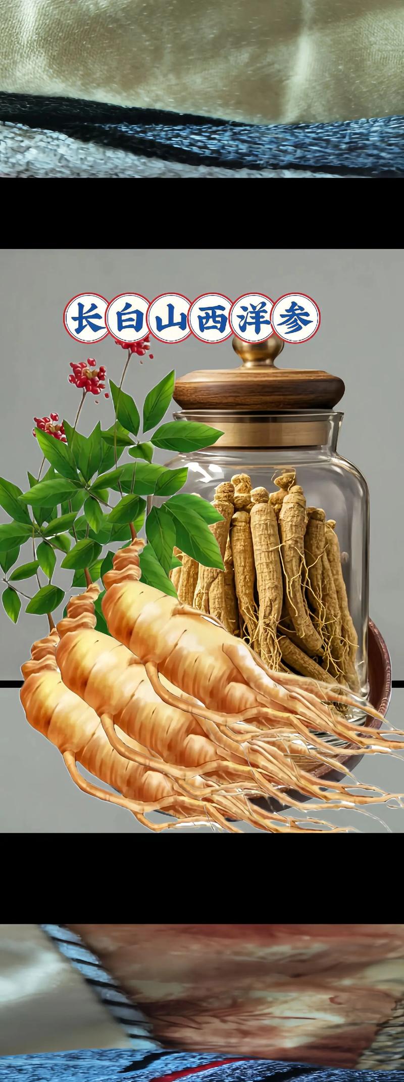 西洋参长什么样(西洋参同花旗参一样吗)-第3张图片-多多自然网 西洋参长什么样(西洋参同花旗参一样吗)-第3张图片-多多自然网