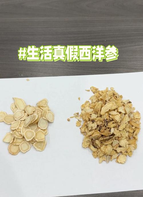 西洋参长什么样(西洋参同花旗参一样吗)-第4张图片-多多自然网 西洋参长什么样(西洋参同花旗参一样吗)-第4张图片-多多自然网