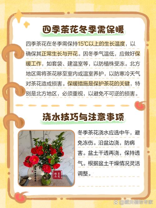 茶花冬天怎么养（茶花冬天怎么养护和浇水）-第2张图片-多多自然网